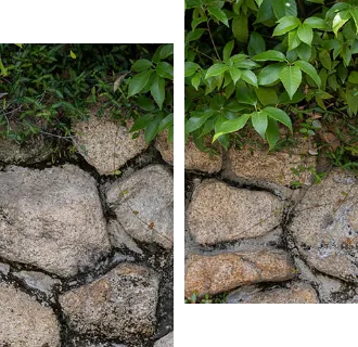現地周辺の街並み 180m(徒歩約3分)